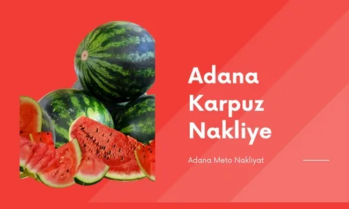 Adana Karpuz Nakliye - Sebze Meyve Nakliyecisi